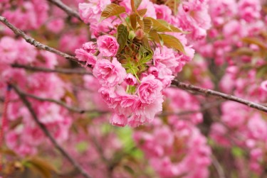 金华婺城区1线下个人借款平台一站式服务，轻松解决资金难题