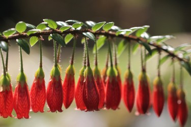 金华婺城区1零用贷短借：轻松解决临时资金需求