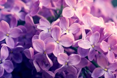 金华婺城区1企业急用钱贷款攻略：快速融资解燃眉之急